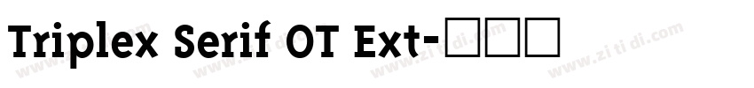 Triplex Serif OT Ext字体转换